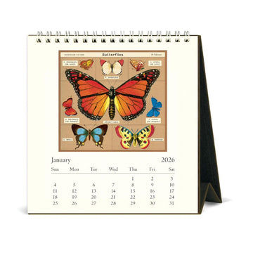 2026 calendar with butterfly illustrations on a white background.
