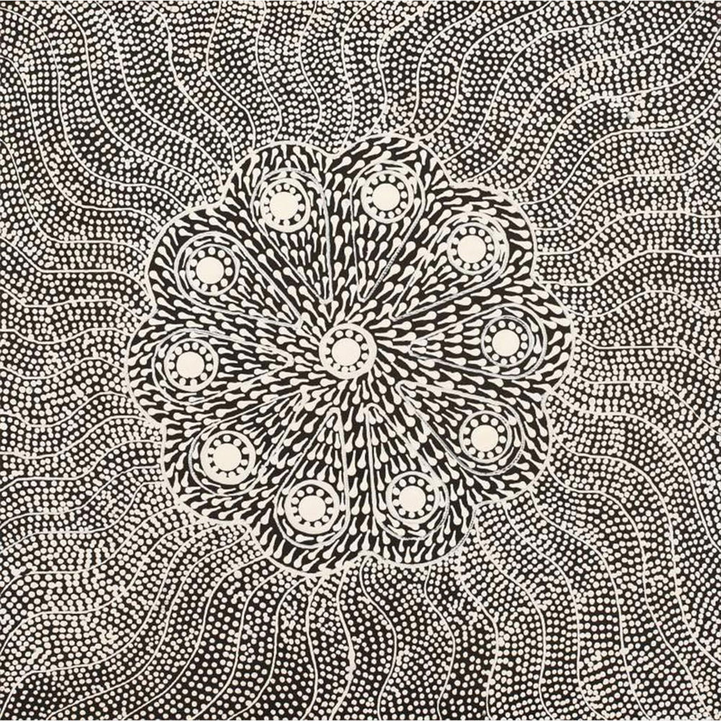 2158/25 Canvas Prestretched Watiyawarnu Jukurrpa (Seed Dreaming) 30x30cm Tanya Nungarrayi Collins - Warlukulangu Artists main image 0