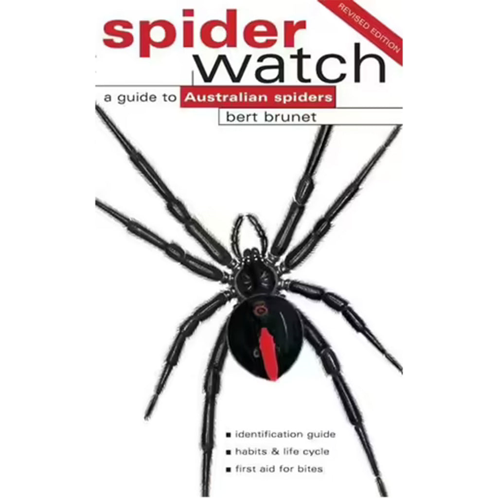 Spiderwatch A Guide to Australian Spiders National Museum Australia