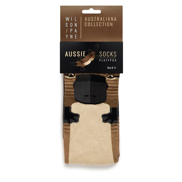 Socks Koala 8-11 - WilsonPayne Aust