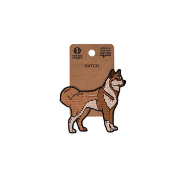 Brown dog-shaped patch on a cardboard backing with 'National Trust' branding.