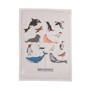 Tea towel with illustrations of Antarctic animals on a white background.