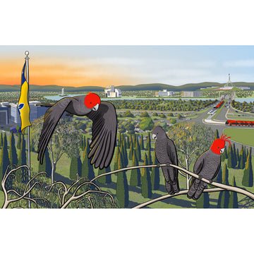 Three cockatoos on a branch with a cityscape in the background.