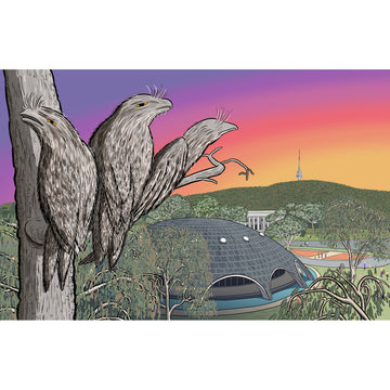 Three tawny frogmouth birds perched on a tree branch with a futuristic dome building and sunset in the background.
