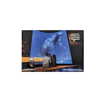 Two people sitting on a bench watching a large screen displaying an image of a whale at the National Museum Australia.