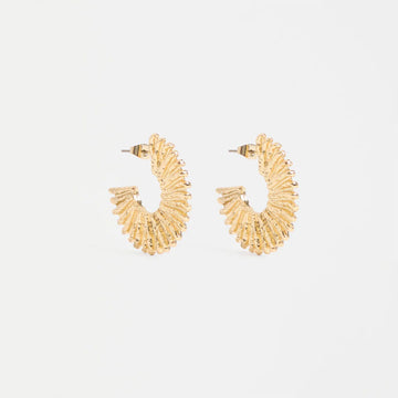 Gold hoop earrings on a light beige background.
