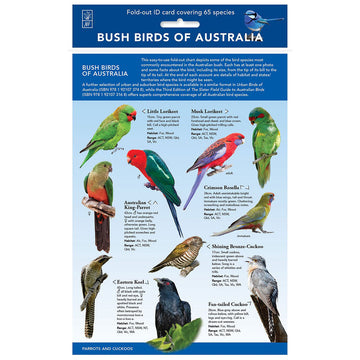 A fold out sheet with photos of different birds and descriptions.