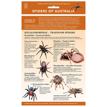 A fold out chart with photos of different spiders with information written around them.