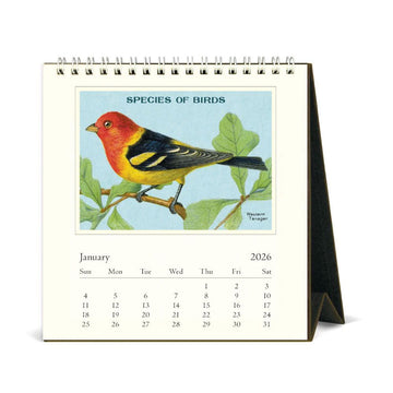 2026 vintage birds calendar with a colorful bird illustration on a white background.