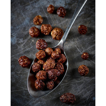 Spoonful of whole bush tomatoes on a textured surface.