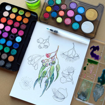 Set of watercolor paints with a brush in a clear plastic case on a white background.