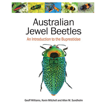 'Australian Jewel Beetles' book cover featuring a close up photo of a blue green beetle with five photos of different beetles along the top.