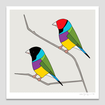 Illustration of colorful birds on a branch against a light gray background.