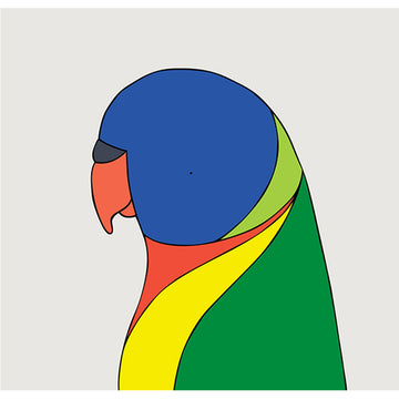Colorful parrot illustration on a white background.