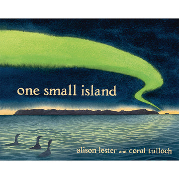 Book cover of 'One Small Island' with  green smoke and water scene.