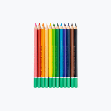 Pack of Micador Jumbo Triangle Colour Rush Pencils with a few pencils lying in front on a white background.