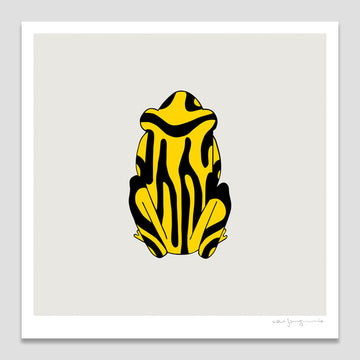 Yellow and black frog illustration on a white background.