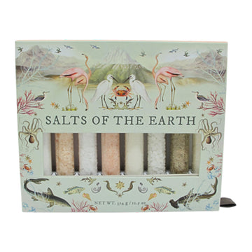 Packaging of 'Salts of the Earth' with illustrations of flamingos and nature-themed design and a cut out showing the glass tubes of salt inside.