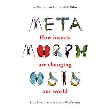 'Metamorphosis' book cover featuring the book title made up of illustrated insects on a white background.