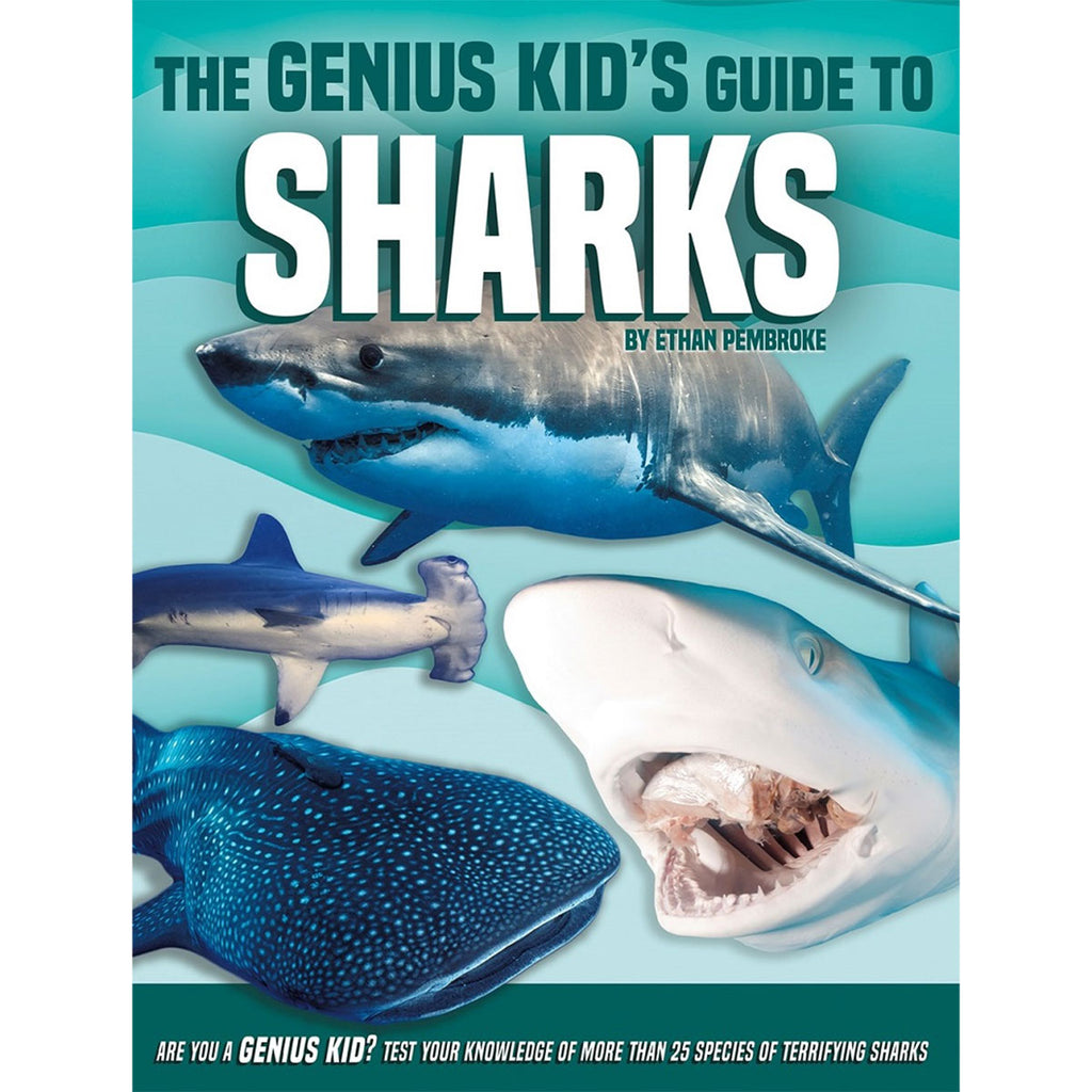 Genius Kid's Guide to Sharks – National Museum Australia