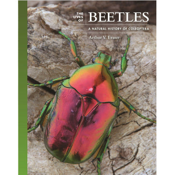 'Lives of Beetles' book cover featuring a close up photo of a red and green beetle on a log.