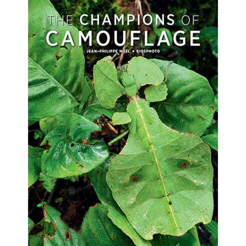 'The Champions of Camouflage' book cover featuring a close up photo of a large green bug which looks like a leaf, sitting amongst leaves on a plant.