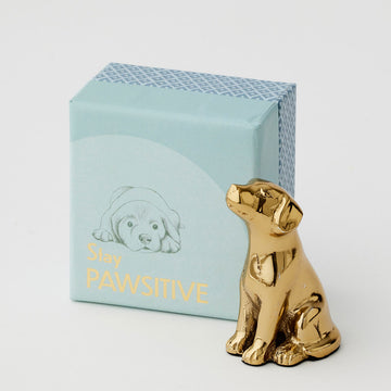 A gold statue of a dog next to a blue box with the text 'Stay Pawsitive' written on the box.