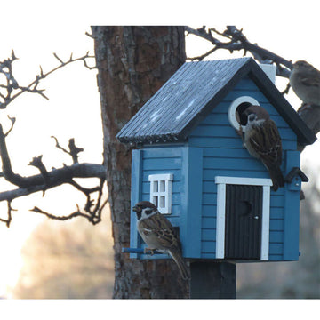 A blue wooden bird house shaped like a house with a door and window.