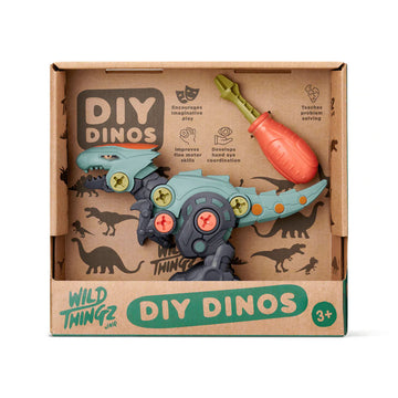 DIY Dinos toy set in a cardboard box with dinosaur illustrations on a white background.