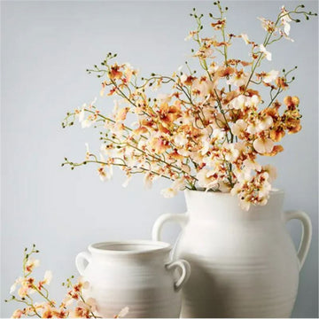 A white ceramic vase in a tall round shape with little round handles on either side.