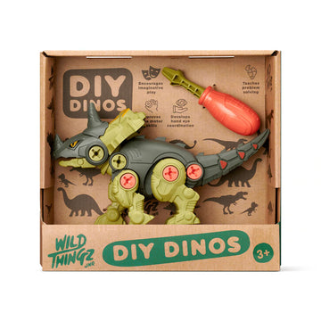 DIY Dinos toy set in a cardboard box with 'Wild Thingz Jr.' branding.