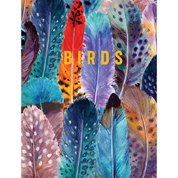 'Birds' book cover featuring illustrations of coloured feathers covering the front cover.