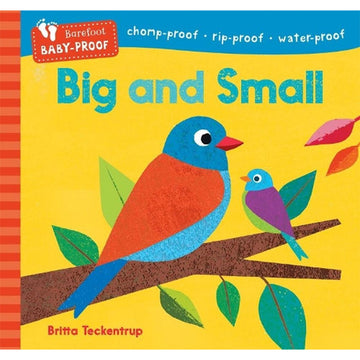 'Big and Small' book cover featuring an illustration of two birds on a branch with leaves.