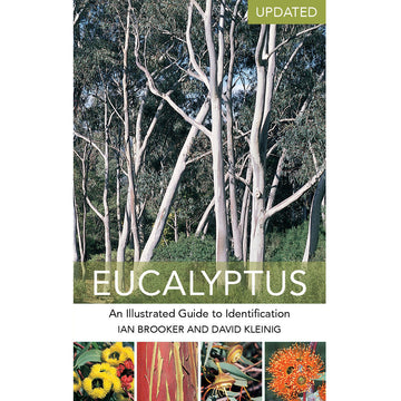 Eucalyptus - Ian Brooker, David Kleinig