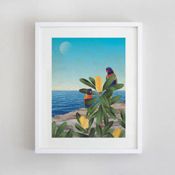 An illustration of two lorikeets sitting in a banksia tree next to the ocean.