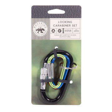 A set of carabiners attached to a card.