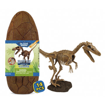 A brown dinosaur egg with an information sleeve around it and a completed Tyrannosaurus Rex skeleton next to it.