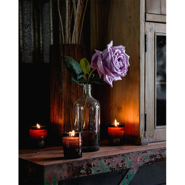 Scented candle and packaging with 'Southern Wild Co' branding on a white background.