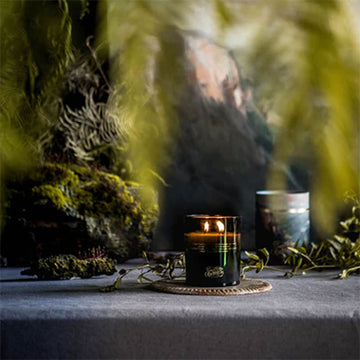 Candle and packaging with 'Southern Wild Co' branding on a white background.