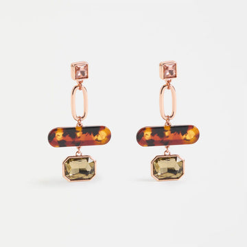 Pair of earrings with tortoiseshell and gemstone design on a white background.