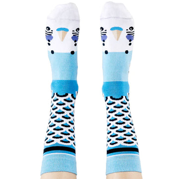 A pair of tall socks as shown on a person's feet and legs illustrated with a blue budgie's face.