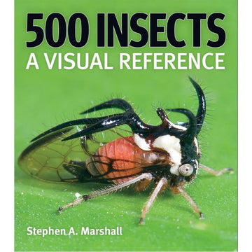 '500 Insects a Visual Reference' book cover featuring a close p photo of an insect on a leaf.