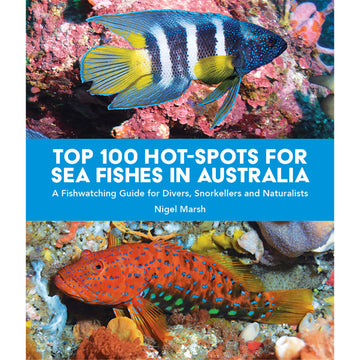 'Top 100 Hot Spots for Sea Fishes in Australia' book cover featuring two photos of colourful fish on the top and bottom with the title in the middle.