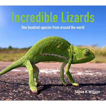 'Incredible Lizards' book cover featuring a close up photo of a green lizard on a road.
