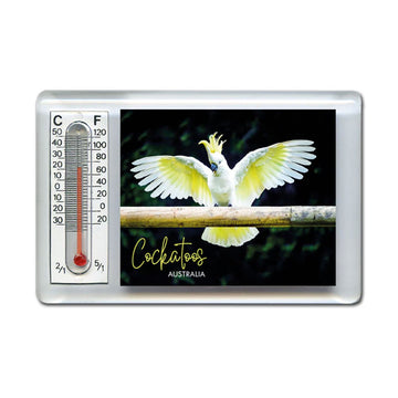 Thermometer with a cockatoo photo on a white background.
