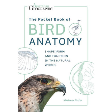 'The Pocket Book of Bird Anatomy' book cover featuring a close up photo of a bird on a white background with three line drawings of bird anatomy.