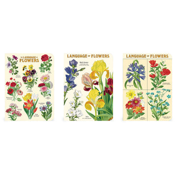 Three notebooks laying on top of each other with illustrations of flowers.