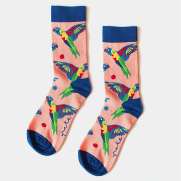 A pair of orange socks with an blue heel, toe and cuff illustrated with rainbow lorikeets.