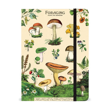Front cover of a journal illustrated with different mushrooms on a cream background with green grass on the bottom of the cover. The title 'Foraging Plants and Mushrooms' is written at the top.