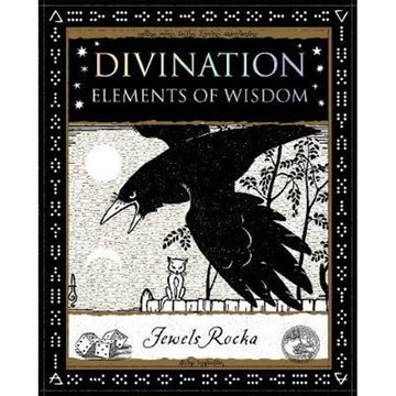 'Divination Elements of Wisdom' book cover featuring a black and white illustration of a large bird fling over a cat sitting on a fence.